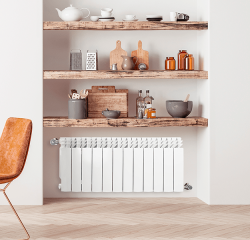Биметаллический радиатор отопления Fondital 350/100 Alustal Plus 12 секций
